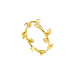 Fancy Style Ring
