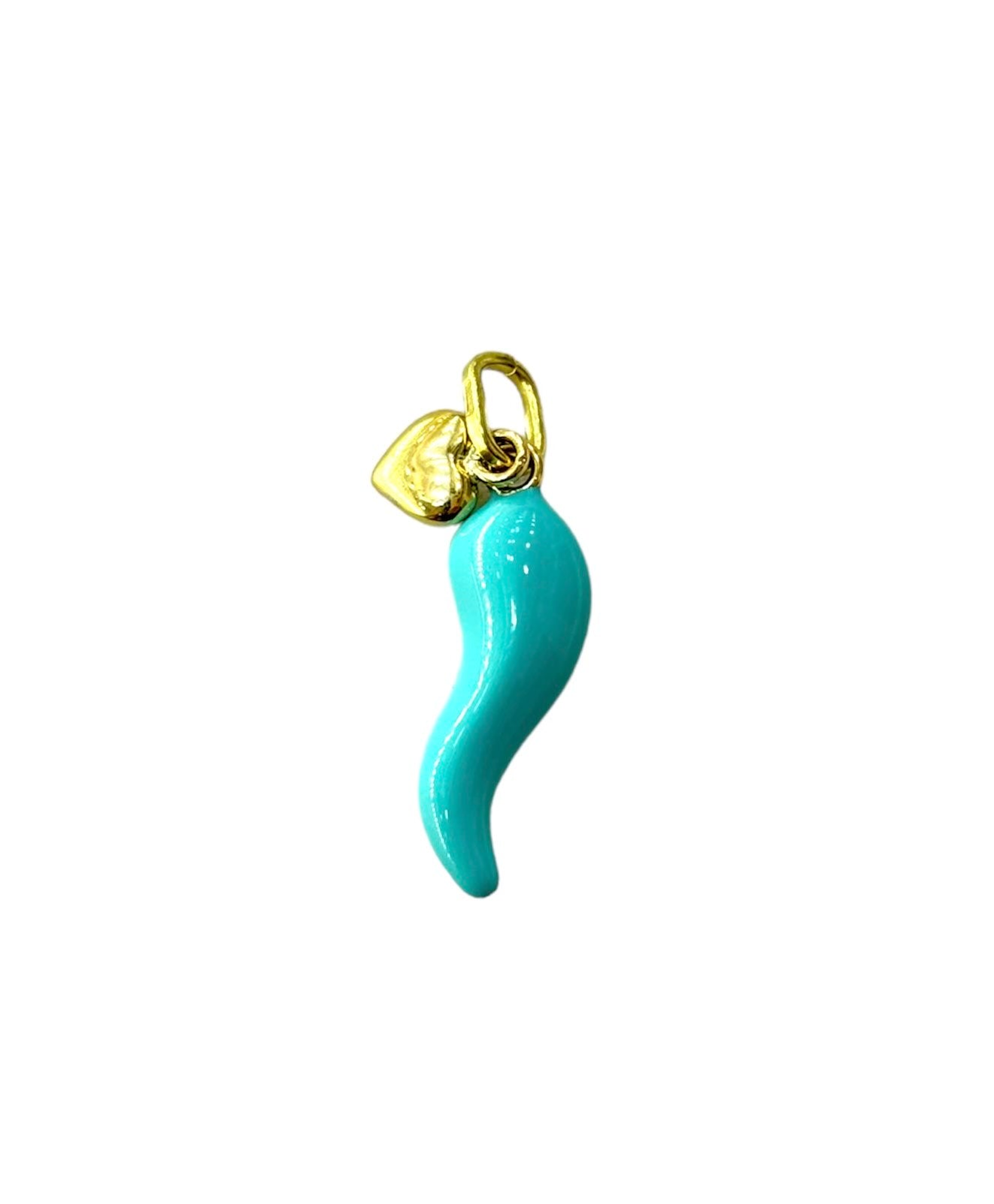 Turquoise Horn