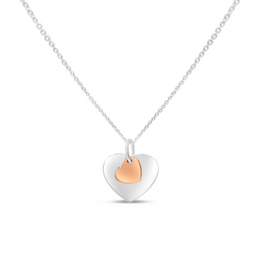Heart Fancy necklace