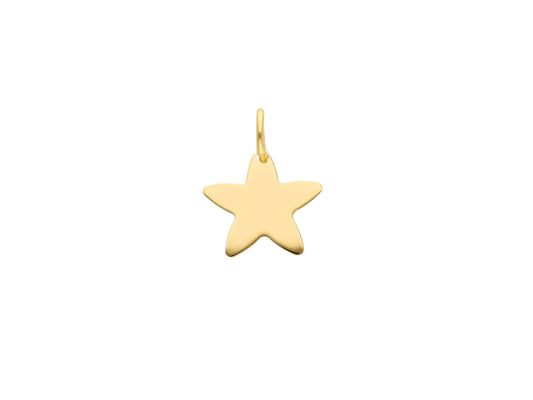 Star plain pendant