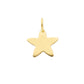 Plain Star Pendant