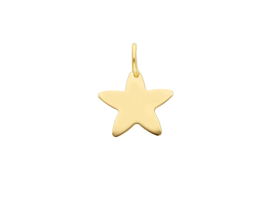 Plain Star Pendant