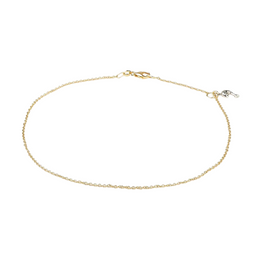 Anklet Dolphin Two Gold
